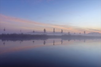 Landscape with Row of Trees Reflecting in Lake at Dawn with Morning Mist
