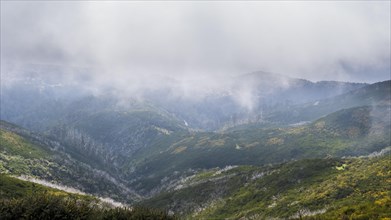 View into green gorge from plateau of Paul da Serra