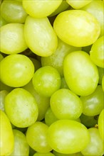 Green Grapes Grape Grape Fruit Fruit Background from above