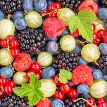 Berries Fruits Berry Fruit like Strawberries Strawberry Fresh Blueberries Blueberry from above square