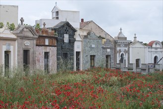 Bonifacio Seamen's Cemetery