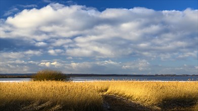 Winter landscape on the shore of Lake Duemmer