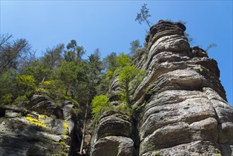 Rock faces in the Kamenice Valley