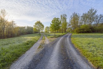 Forked dirt road in the morning at spring