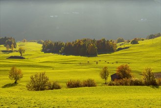 Autumnal mountain landscape