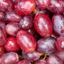 Red grapes grape grape fruit fruit background from above square