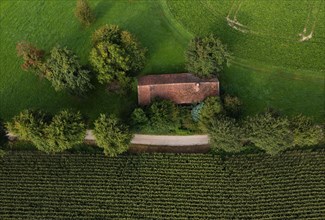 Old house roof in an agricultural landscape with maize field and gravel path from above