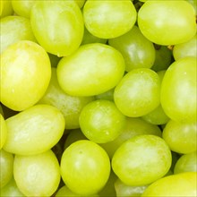 Green Grapes Grape Grape Fruit Fruit Background From Top Square