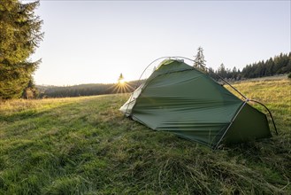 Green tent on a forest meadow in the morning light