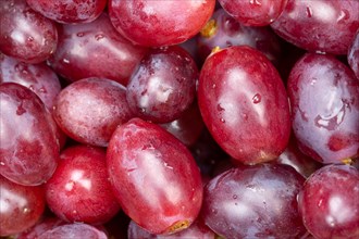 Red grapes grape grape fruit fruit background from above