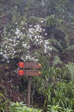 Hiking trail and signpost
