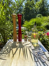Salt and pepper mill with oil and spices in a backlit tropical garden
