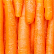 Carrots carrot vegetable background from above square