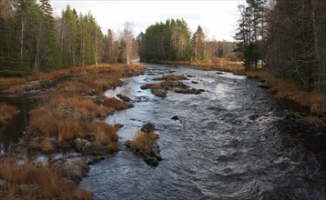 Kiimkijoki River Rapids