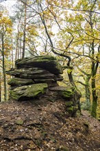 Autumn-coloured forest and sandstone rocks