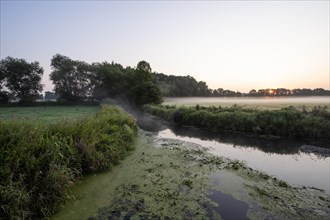 River Aller