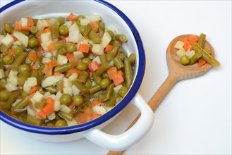 Ingredients for Russian salad in bowl and cooking spoon