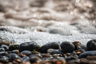 Shiny pebbles on the beach illuminated by the sun