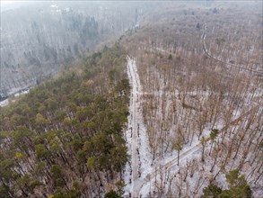 Aerial view of Jena Forest near Stern