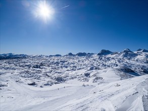 Winter landscape