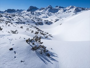 Winter landscape in the snowy Alps