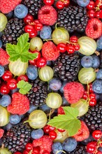 Berries Fruits Berry Fruit like Strawberries Strawberry Fresh Blueberries Blueberry from above