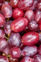 Red grapes grape grape fruit fruit background from above