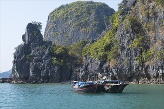Fishing boats in Halong Bay