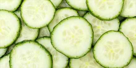 Cucumbers Cucumber Vegetable Background from above Panorama