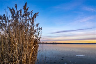 Winter atmosphere on the shore of Lake Duemmer