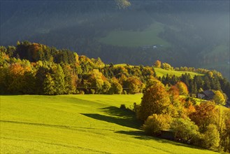 Autumnal mountain landscape