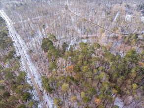 Aerial view of Jena Forest near Stern