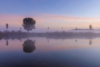 Landscape with Trees Reflecting in Lake at Dawn with Morning Mist