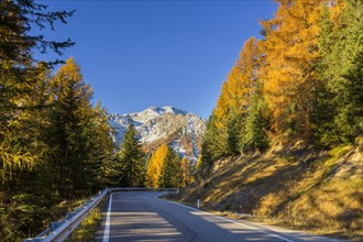 Mountain road in autumn