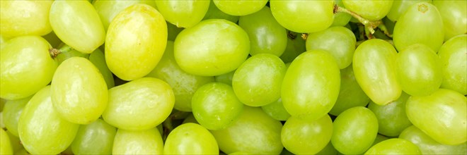 Green Grapes Grape Grape Fruit Fruit Background From Above Panorama