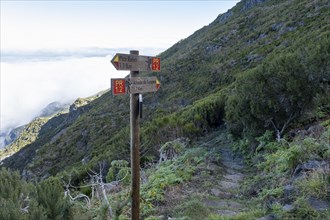Hiking trail and signpost near the summit of Pico Ruivo
