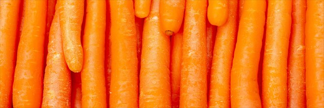 Carrots Carrot Vegetable Background From Above Panorama