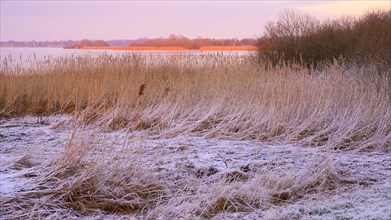 Winter atmosphere on the shore of Lake Duemmer