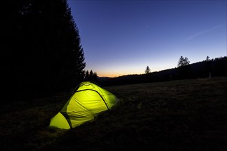 Illuminated green tent at the edge of the forest