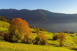 Autumnal mountain landscape