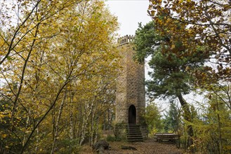 Autumn-coloured forest and observation tower