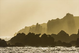Lava rock coast with with morning mist