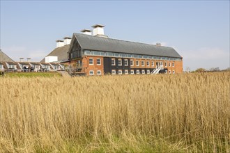 View of concert hall over reeds
