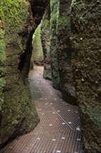 Hiking trail through narrows of the Drachenschlucht