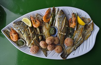 Typical fish platter with various grilled fish