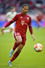 Serge Gnabry FC Bayern Munich FCB am Ball