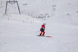 Skier on glacier ski slope Olperer