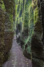 Hiking trail through narrows of the Drachenschlucht