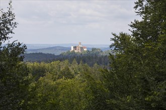 South view of Wartburg Castle