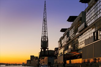 Crane at the fishing harbour at sunset